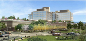 Various Artists | New Stanford Hospital Art Master Plan, 2013